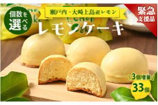 【緊急支援品】レモンケーキ 33個（通常30個+3個） 洋菓子 お菓子 菓子 レモン スイーツ ギフト 贈答 いちかわ 竹原 瀬戸内 瀬戸内レモン　※離島への配送不可