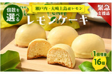 【緊急支援品】レモンケーキ 16個（通常15個+1個） 洋菓子 お菓子 菓子 レモン スイーツ ギフト 贈答 いちかわ 竹原 瀬戸内 瀬戸内レモン　※離島への配送不可