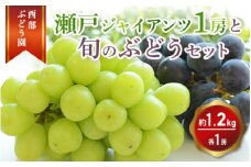 西部ぶどう園 瀬戸ジャイアンツ1房と旬のブドウ1房 計約1.2kg 葡萄 フルーツ 果物 ※2025年9月初旬～10月下旬頃に順次発送予定　※沖縄・離島への配送不可