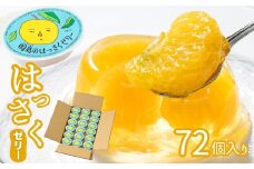 因島のはっさくゼリー72個入り