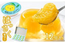因島のはっさくゼリー(78g×12個)