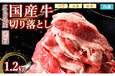 訳あり国産牛 切り落とし 4パック1.2kg ｜ 国産牛 訳あり 牛肉 お肉 切り落とし きりおとし バラ スネ モモ  肉じゃが 牛丼 ※北海道、沖縄、離島への配送不可