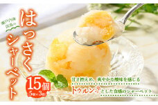 因島のはっさくシャーベット(未凍結）3箱 15個セット（1箱75g×5個入）