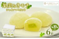 八天堂ファーム 果実なきモチ シャインマスカット 10個入り×6箱　※離島への配送不可