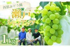 西部ぶどう園 瀬戸ジャイアンツ2房 約1kg｜ぶどう ブドウ マスカット 葡萄 薄皮 皮ごと 甘い フルーツ 果物 （※2025年8月中旬～10月初旬頃に順次発送予定 ※沖縄・離島への配送不可）