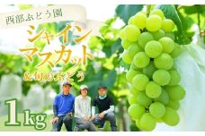 西部ぶどう園 シャインマスカット1房と旬のブドウ1房 計約1.2kg｜ぶどう ブドウ マスカット 葡萄 薄皮 皮ごと 甘い フルーツ 果物 （※2025年8月中旬～10月初旬頃に順次発送予定 ※沖縄・離島への配送不可）