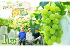 西部ぶどう園 瀬戸ジャイアンツ1房と旬のブドウ1房 計約1.2kg｜ぶどう ブドウ マスカット 葡萄 薄皮 皮ごと 甘い フルーツ 果物 （※2025年8月中旬～10月初旬頃に順次発送予定 ※沖縄・離島への配送不可）