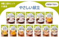 キユーピー やさしい献立 かまなくてよい 9種 12袋セット【介護食 災害食 防災食 おかず 主食 なめらか野菜 にんじん コーン かぼちゃ なめらかごはん なめらかおかず 豚肉と野菜 鮭と野菜 白身魚と野菜 牛肉じゃが 鶏肉と野菜 キューピー】