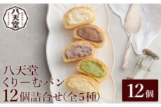 【八天堂】くりーむパン12個詰合せ(全5種) くりーむ パン クリームパン 菓子パン スイーツ セット カスタード 生クリーム チョコレート 抹茶 フローズン 冷凍 ギフト すいーつ 015004