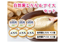 とろろ アイスクリーム 2つを混ぜると大福味に 高原の恵み セット 6個入り 自然薯 詰め合わせ 野菜 アイス スイーツ デザート　029001