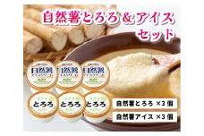 とろろ アイスクリーム 2つを混ぜると大福味に 高原の恵み セット 6個入り 自然薯 詰め合わせ 野菜 アイス スイーツ デザート　029001