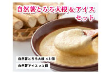 コクがあるのに後味すっきり！自然薯アイスクリーム＆とろろ大根おろしセット（6個入り）【配達不可：離島】　029002