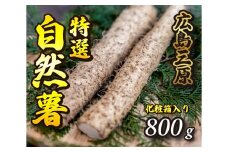 ≪標高375ｍで採れた≫自然薯化粧箱入り800g【配達不可：離島】 広島 三原 とろろ 029005