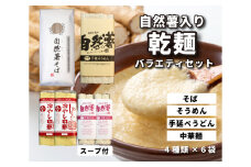 コシがあって美味♪手延べ乾麺の自然薯入り乾麺バラエティセット（全種類入り）　029008