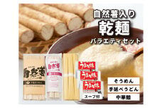 コシがあって美味♪手延べ乾麺の自然薯入り乾麺バラエティセット（小）　029007