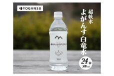 よがんす白竜水500ml×24本 011001