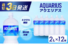 アクエリアス PET 2L×12本(6本×2ケース) 最短3日で発送 スポーツドリンク スポーツ飲料 清涼飲料水 水分補給 ペットボトル 箱買い まとめ買い 014019