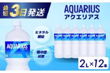 アクエリアス PET 2L×12本(6本×2ケース) 最短3日で発送 スポーツドリンク スポーツ飲料 清涼飲料水 水分補給 ペットボトル 箱買い まとめ買い 014019