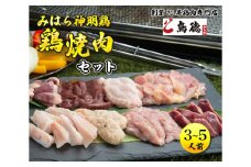 【テレビで話題！】みはら神明鶏の焼肉セット(3～5人前) 鶏肉専門店 鳥徳 鶏肉 神明鶏 鶏モモ セセリ ハツ 手羽先 砂ずり 鶏 とりもも 鶏もも肉 つくね やきにく BBQ セット バーベキュー 012002 