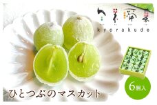 ひとつぶのマスカット 6個入り 共楽堂 夏季限定品 ぶどう ブドウ スイーツ デザート 和菓子 お菓子 018001