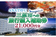 広島の空に一番近いまち三原　ANAで行く！三原市への旅行購入補助券（21,000円分） 006001