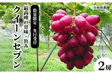 【2025年先行受付】数量限定 ぶどう ＜久和田農園＞ 朝採り クイーンセブン 2房 果物 フルーツ 先行予約 久和田農園 広島 三原 034005