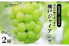 【2025年先行受付】数量限定 ぶどう ＜久和田農園＞朝採り 瀬戸ジャイアンツ 2房 果物 フルーツ 先行予約 久和田農園  広島 三原 034006