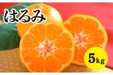 みかん 柑橘【先行受付】【2026年2月以降発送】甘くてジューシー！瀬戸内さぎしまのはるみ ＜約5kg＞ 広島 三原 佐木島 鷺島みかんじま みかん 017022