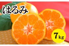 みかん 柑橘 【先行受付】【2026年2月以降発送】甘くてジューシー！瀬戸内さぎしまのはるみ ＜約7kg＞  広島 三原 佐木島 鷺島みかんじま みかん 017023