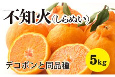 みかん 柑橘【先行受付】【2026年3月以降発送】甘さ抜群しらぬい！デコちゃん【デコポンと同品種】＜約5kg＞ 広島 三原 佐木島 鷺島みかんじま 017027