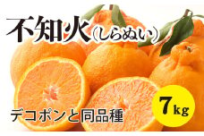みかん 柑橘【先行受付】【2026年3月以降発送】甘さ抜群しらぬい！デコちゃん【デコポンと同品種】＜約7kg＞ 広島 三原 佐木島 鷺島みかんじま 017028