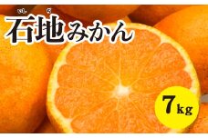 みかん 柑橘【先行受付】【2025年12月以降発送】糖度が高く濃厚！石地みかん〈約7kg〉広島 三原 佐木島 鷺島みかんじま 017017