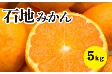 みかん 柑橘【先行受付】【2025年12月以降発送】糖度が高く濃厚！ 石地みかん＜約5kg＞広島 三原 佐木島 鷺島みかんじま 017016