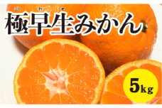 みかん 柑橘【先行受付】【2025年10月中旬以降発送】 甘さと酸味が絶妙！極早生 みかん 約5kg 三原 佐木島 017012
