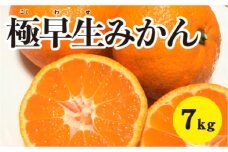 みかん 柑橘【先行受付】【2025年10月中旬以降発送】 甘さと酸味が絶妙！極早生 みかん 約7kg 三原 佐木島 017013