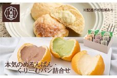 【八天堂】本気のめろんぱん・くりーむパン 9個詰合せ(全4種) 菓子パン メロンパン クリームパン カスタード 抹茶 チョコレート おやつ フローズン 冷凍 ギフト 015006 