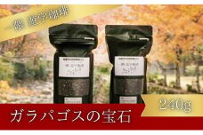 一隅 遊学珈琲　ガラパゴスの宝石 Jewels of Miconia（計240g）コーヒー 焙煎 豆 044001
