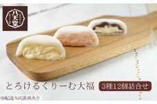 【八天堂】とろけるくりーむ大福12個詰合せ(全3種) 大福 カスタード つぶあん あまおう 苺 スイーツ おやつ デザート フローズン ギフト 冷凍 015007