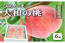 【先行予約】部谷桃園 ひろしま大和の桃 6個セット 果物 フルーツ デザート 食後 旬の桃 旬の果物 旬のフルーツ 新鮮 夏 夏の果物 067001