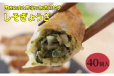 paoの無添加餃子「しそぎょうざ」520g(約40個) 餃子 ギョーザ 惣菜 冷凍 中華 点心 おかず おつまみ 国産野菜 しそ風味 058005