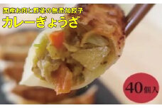 paoの無添加餃子「カレーぎょうざ」640g(約40個) 餃子 ギョーザ 惣菜 冷凍 中華 点心 おかず おつまみ 国産野菜 カレー風味 058006