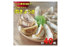 paoの無添加餃子「大地のちから 肉ぎょうざ」840g(約40個) 餃子 ギョーザ 惣菜 冷凍 中華 点心 おかず おつまみ 国産野菜 058008