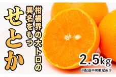 みかん 柑橘【先行受付】【2026年2月下旬以降発送】果汁たっぷり甘さに満足 柑橘の大トロせとか ＜2.5kg＞ 広島 三原 佐木島 鷺島みかんじま 017020