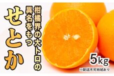 みかん 柑橘【先行受付】【2026年2月下旬以降発送】果汁たっぷり甘さに満足 柑橘の大トロせとか ＜5kg＞ 広島 三原 佐木島 鷺島みかんじま 017021