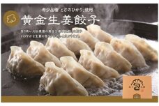 「黄金生姜餃子」260g(約20個) 餃子本舗 包 餃子 しょうが ギョーザ ぎょうざ 惣菜 冷凍 中華 点心 おかず おつまみ 国産野菜 058012