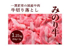【ミノリフーズ】みのり牛切り落とし 1.25kg（250g×5パック） 052009