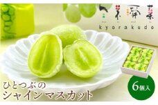 ひとつぶの シャインマスカット 選べる個数 6個入 好評にて夏の定番商品化決定！共楽堂 シャインマスカット もぎたて 夏季限定 晴王 求肥 スイーツ 和菓子 018011