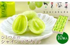 ひとつぶの シャインマスカット 選べる個数 10個入 好評にて夏の定番商品化決定！共楽堂 シャインマスカット もぎたて 夏季限定 晴王 求肥 スイーツ 和菓子 018012