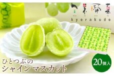 ひとつぶの シャインマスカット 選べる個数 20個入 好評にて夏の定番商品化決定！共楽堂 シャインマスカット もぎたて 夏季限定 晴王 求肥 スイーツ 和菓子 018013