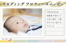 おまかせ♪ オーダーメイドでプロフィールムービーおつくりします ウエディング用 プロフィールムービー 生い立ちムービー 制作権095002